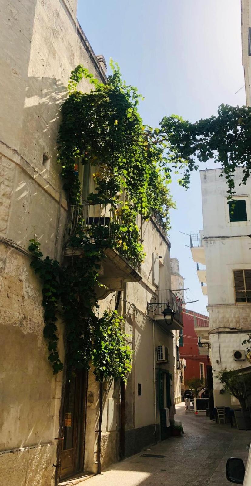 Novecento Daire Monopoli Dış mekan fotoğraf
