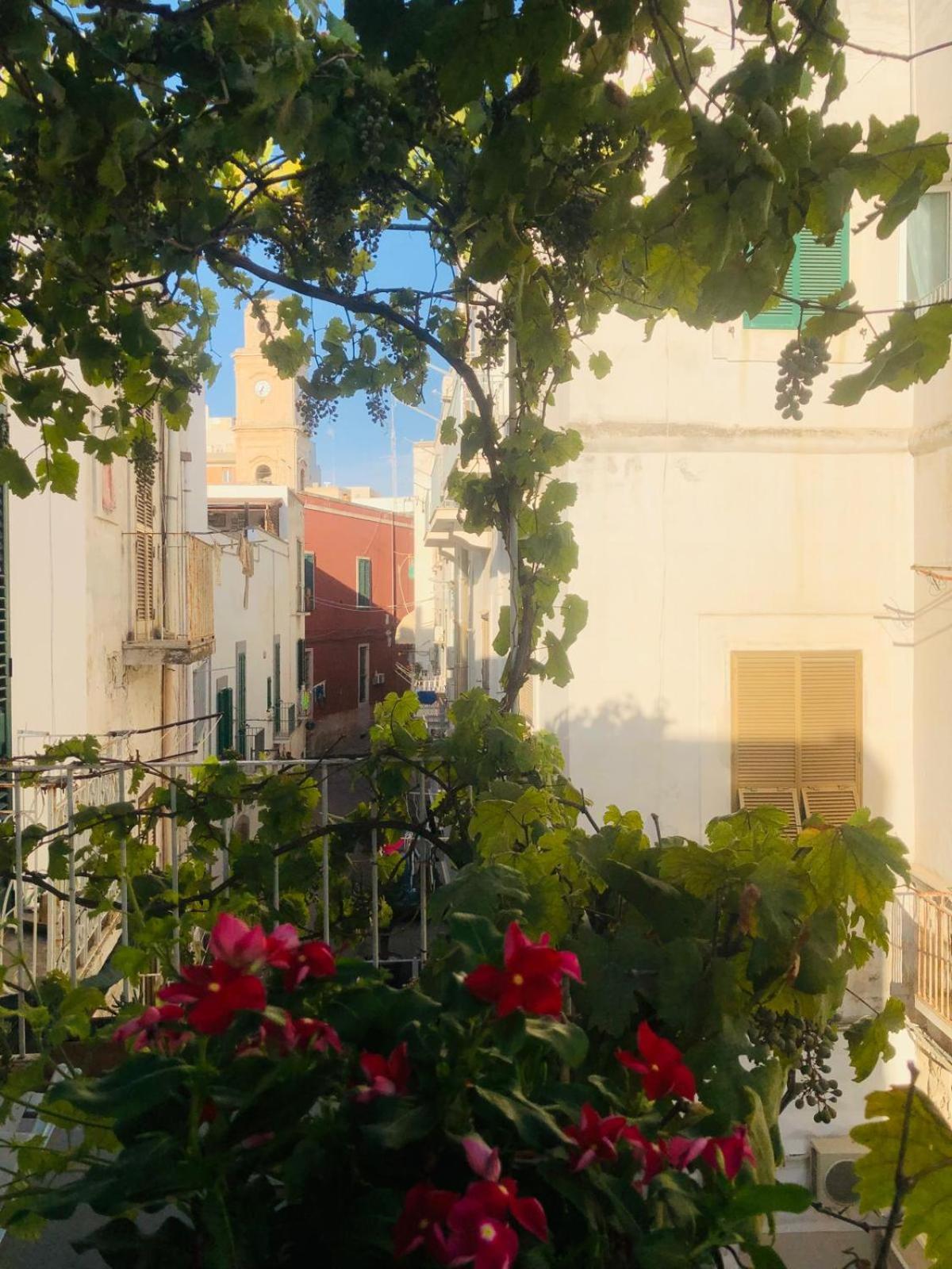 Novecento Daire Monopoli Dış mekan fotoğraf